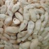Eri Silk Cocoons x 20 - George Weil eri silk cocoons - - George Weil